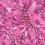 Extensible cotton fabric with floral pattern