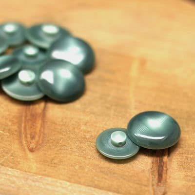 Resin button - celadon green