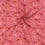 Popeline van katoen met winterviooltje - rood
