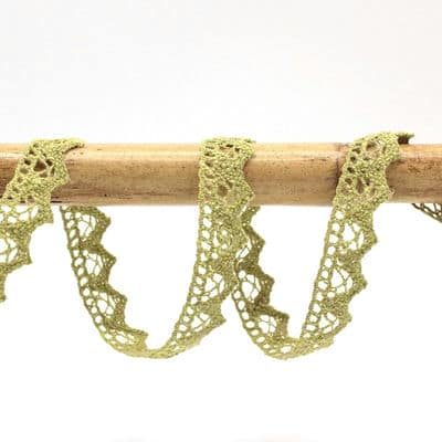 Embroidered lace ribbon - green