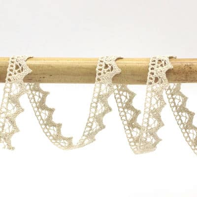 Embroidered lace ribbon - ecru