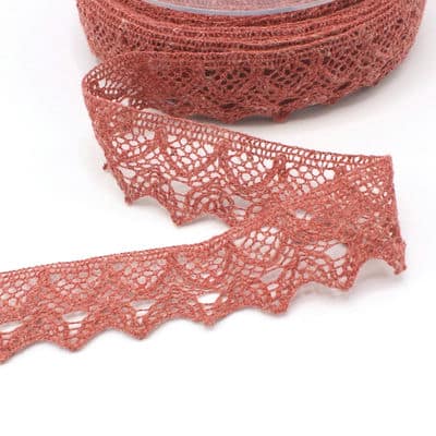 Embroidered lace ribbon - bourgogne