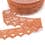 Embroidered lace ribbon - rust