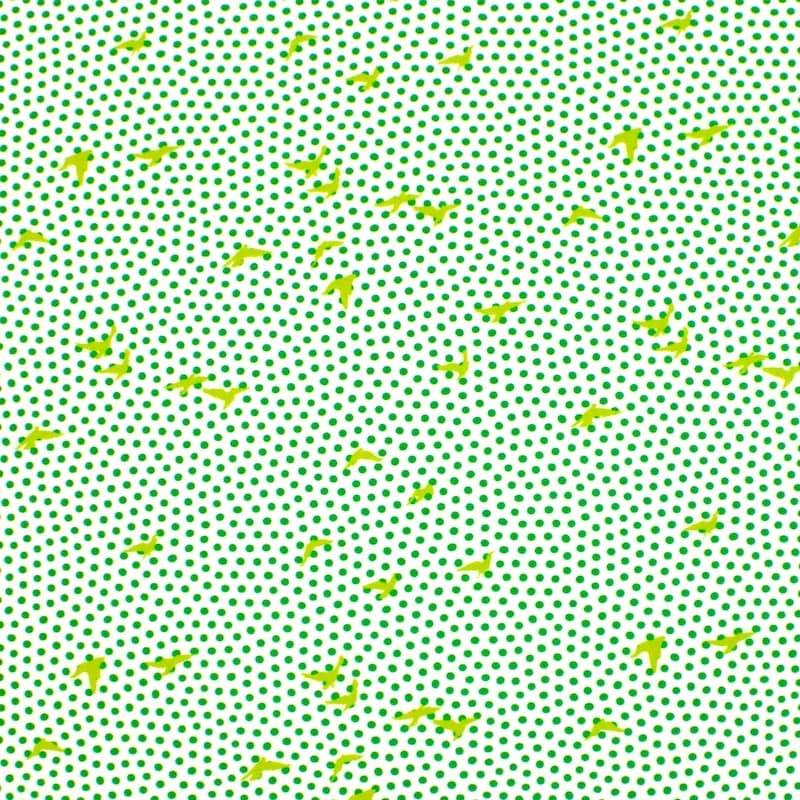 Poplin cotton with dots and birds - white/green