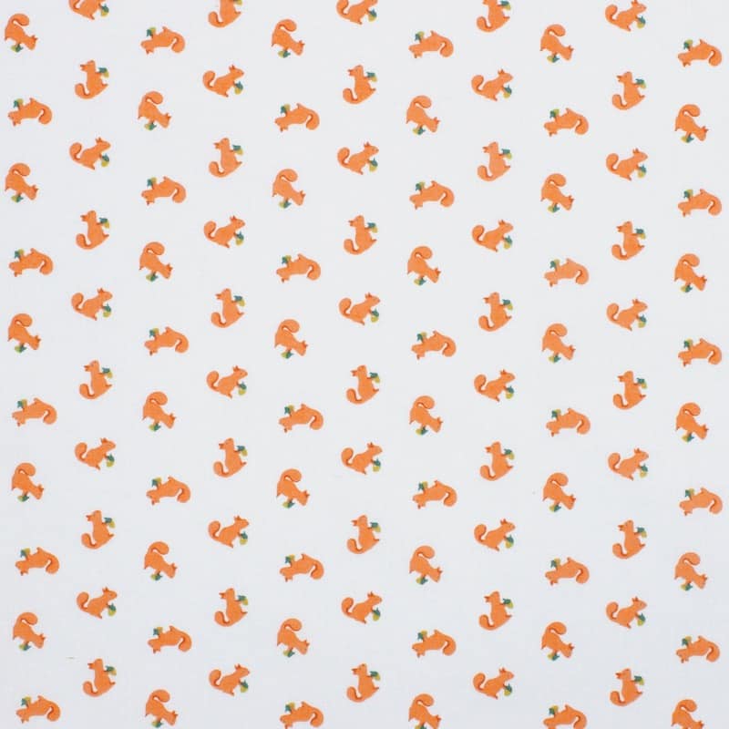 Tissu coton écureuil - orange