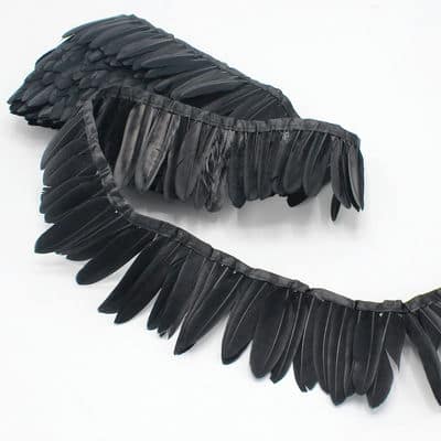 galon plumes noires