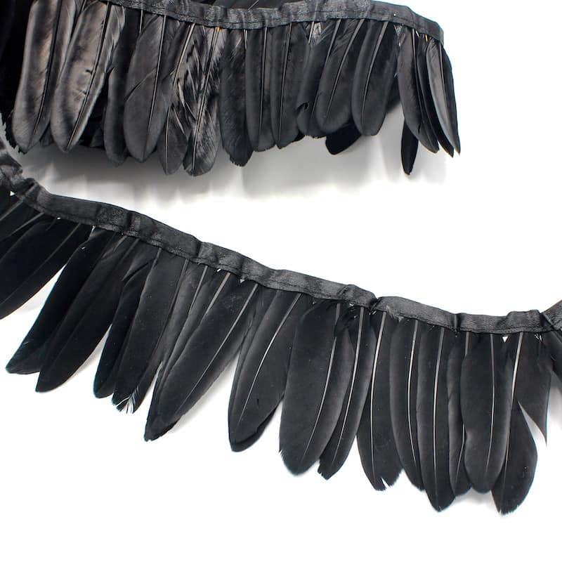 Braid trim with black feathers 