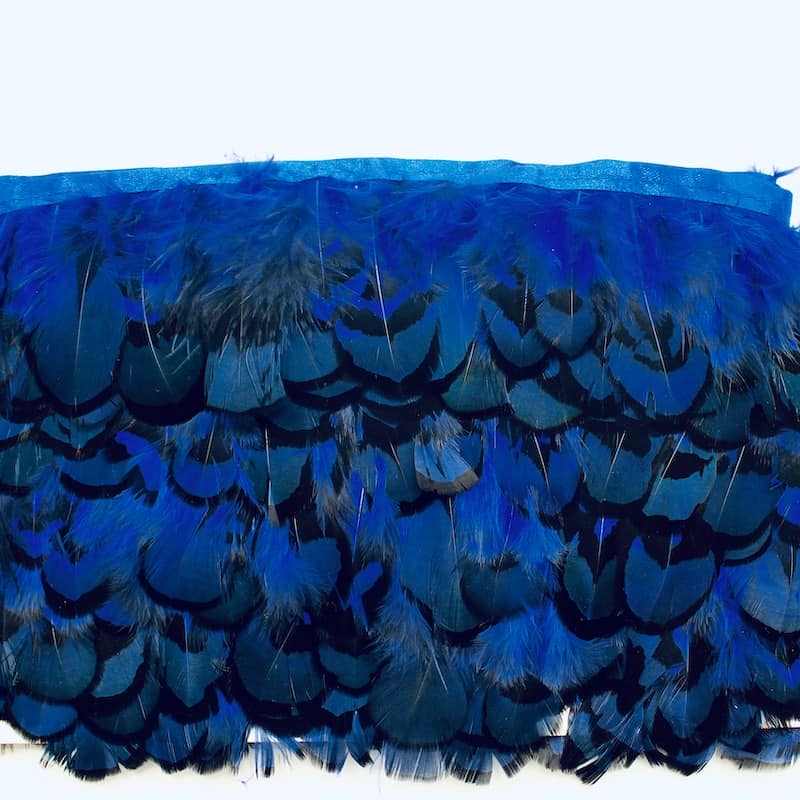 Braid trim with blue feathers 