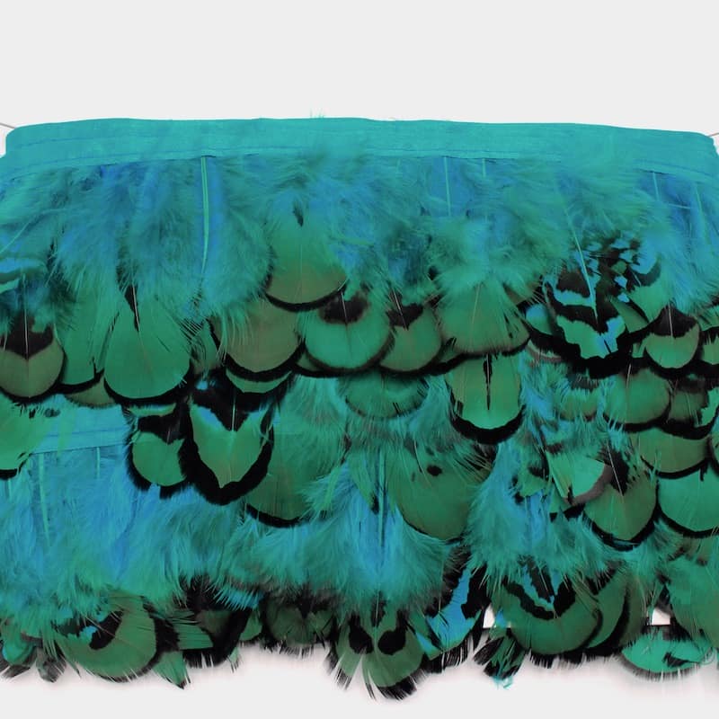 galon plumes turquoise
