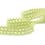 Embroidered lace ribbon - green