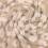 Tissu bouclette léopard - beige